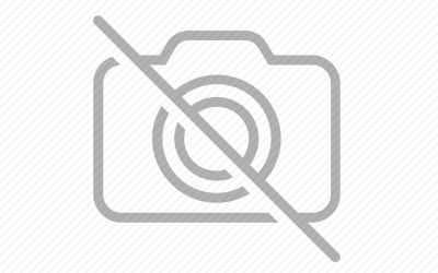 Geleneksel Türk Okçuluğu